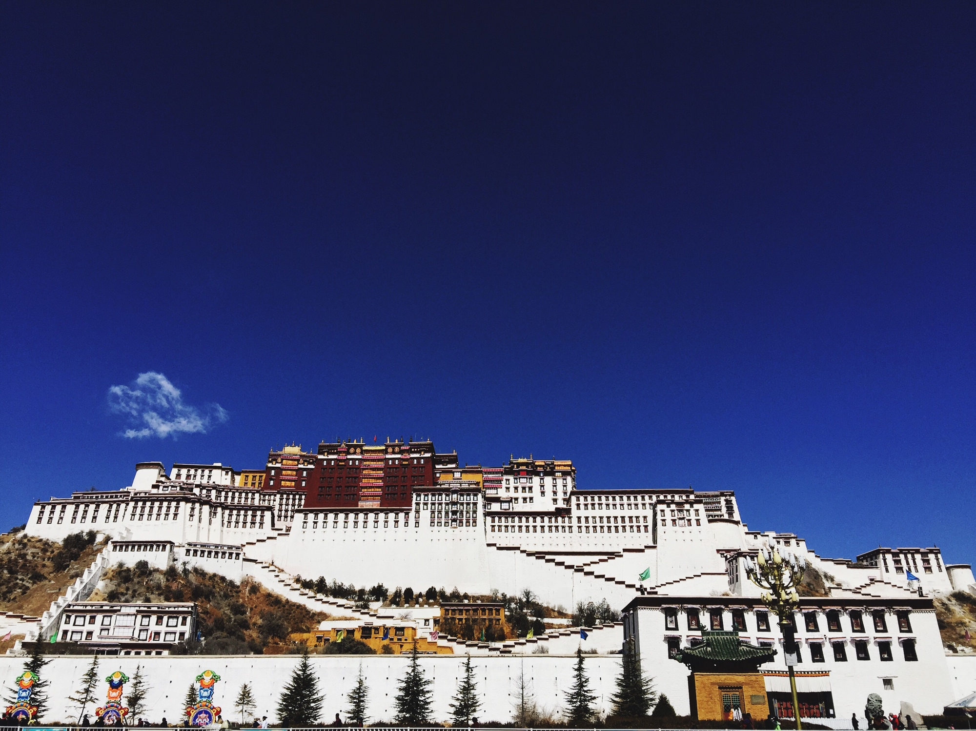 西藏天林带你进入藏医藏药的神奇世界